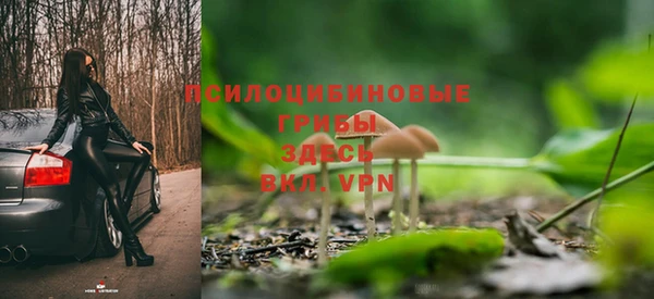 амф Алексеевка